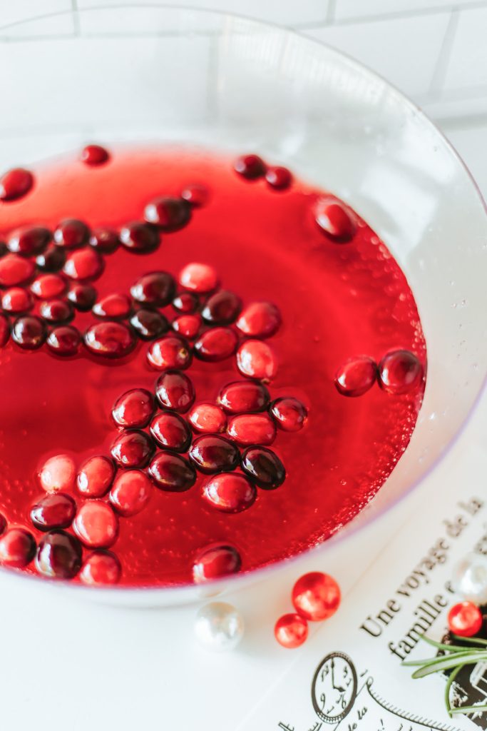 red punch in bowl with floating cranberries